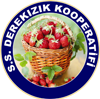 S.S. Derekızık Kooperetifi
